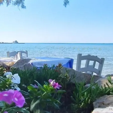 Joanna 2 * Thessaloníki